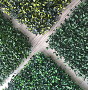 Cerca de hoja de <span class=keywords><strong>seto</strong></span> de <span class=keywords><strong>boj</strong></span> artificial, paneles de pared Cerca de césped artificial - Product Image 6