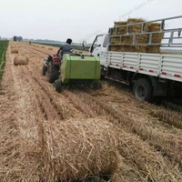 Moissonneuse d'ensilage de maïs entraînée par tracteur Machine agricole Machines pour ensilage de maïs Machine pour ensilage de maïs à vendre