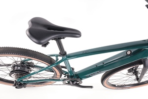 Nueva Bicicleta Eléctrica FX-1 de 12 Velocidades para Adultos con Cuadro de Aluminio, Frenos de Disco Hidráulicos, Cuadro Totalmente Amortiguado - Carreras/Todoterreno - Product Image 3