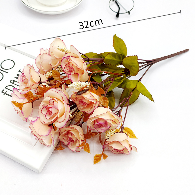 Paquet unique de rose persane [rose viande]