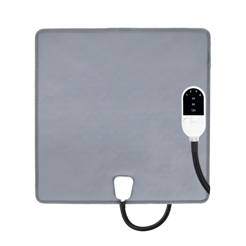 Regular model#Dark Grey