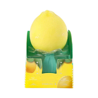 Boîte de 75g de crème glacée croustillante au chocolat saveur citron, personnalisable en gros, surgelée