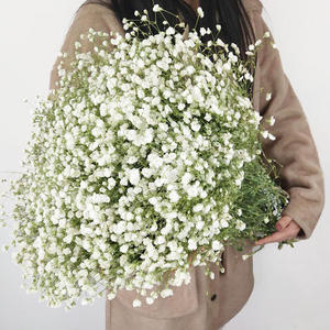 E-L006 Décoration de mariage Gypsophila Paniculata Fleurs artificielles en plastique blanc Bouquet de souffle de bébé - Product Image 1
