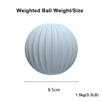 Balle lestée en silicone d'origine 1,5 kg pour le yoga, le Pilates, l'entraînement musculaire, la musculation, les balles de tonification lestées