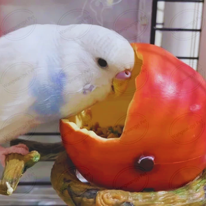 Orange Pumpkin Apple Design Birds Feeder Bowl Food Feeding Cup para pequeños loros hámster - Product Image 4
