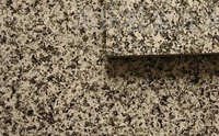 Peinture pour pierre véritable imperméable et résistante aux intempéries avec formule acrylique, revêtement effet granit pour les murs extérieurs des bâtiments