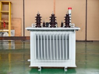 Transformador de Distribución Trifásico Sumergido en Aceite ONAN de 50 kVA, 80 kVA, 100 kVA, 160 kVA, 11 kV, 480 V, Modelo S13, Marca PKNY