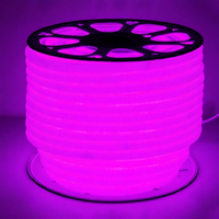 Bande Néon LED Flexible Étanche Multicolore, 12V 24V 110V 220V, SMD2835, 120 LED/m, en Rouleau de 50m ou 100m