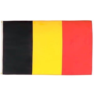 Drapeau promotionnel extérieur 2026 pour supporters de football, drapeau personnalisé 3x5ft, bannière personnalisée par sublimation, design personnalisé, à suspendre - Product Image 2