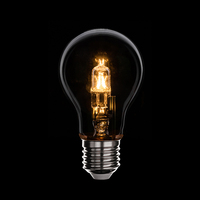 Échantillon gratuit Fabrication de haute qualité Vente en gros A60/A55 28W/42W/52W/70W Lampe halogène