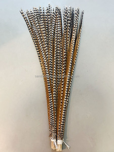 Plumas <span class=keywords><strong>de</strong></span> Cola <span class=keywords><strong>de</strong></span> Faisán Reeves Naturales <span class=keywords><strong>de</strong></span> 140-150 cm <span class=keywords><strong>de</strong></span> Largo, en Oferta, para Disfraces <span class=keywords><strong>de</strong></span> Carnaval y Sombreros <span class=keywords><strong>de</strong></span> Samba - Product Image 4
