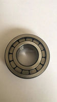 Roulement à rouleaux cylindriques pour pompe F203740 F-203740.NUP 25x54X21mm