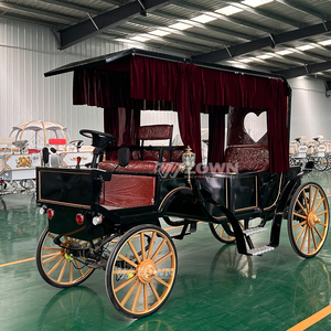 Carruajes de caballos para turismo al aire libre, ideales para recorridos turísticos, carruajes de caballos eléctricos para turismo en venta. - Product Image 3