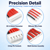 Câble de charge d'équilibrage OEM personnalisé JST XH 2-10 broches 22AWG avec faisceau de câbles en silicone pour batterie LiPo 9S, drone RC, BMS, stockage d'énergie