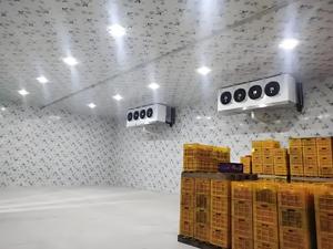 Sala de almacenamiento en frío automática para sustitutos lácteos refrigerados Cojinete de engranajes de compresor Copeland-para fábricas lecheras alternativas - Product Image 2