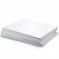 Papier offset double face A4/A2 biodégradable haute blancheur en rouleaux et feuilles ODM/OEM