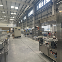 Línea de Producción de Embotellado de Bebidas y Refrescos Sunswell de 20000 BPH con Certificación CE