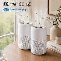 Purificateur d'air de bureau à marque privée pour la maison et le bureau, avec fonction veilleuse aromathérapie, pour appartement et bureau, compatible OEM ODM CE FCC