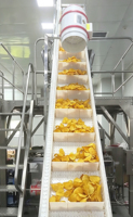 Machine à fabriquer des chips de pommes de terre entièrement automatique 200 kg/h avec options multi-tension et chauffage, haute productivité