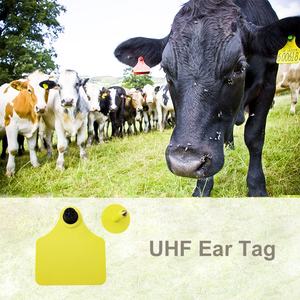 가축 바코드 UHF RFID 염소 귀 태그 칩 장거리 동물 소 양 소 돼지 전자 귀 태그 귀걸이 - Product Image 3