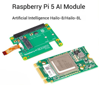 Carte de développement Raspberry Pi 5 AGV Edge Computing pour l'accélération de l'analyse vidéo, HAT IA Hailo8L, Linux 64 bits, PCIe, USB, BGA