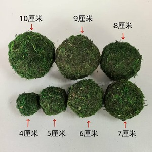 Boules <span class=keywords><strong>de</strong></span> mousse verte naturelle préservée, sphères <span class=keywords><strong>de</strong></span> mousse séchée pour la décoration <span class=keywords><strong>de</strong></span> la maison, des tables, des vases et des bols, décoration rustique, vente en gros - Product Image 5