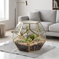 Terrarium en verre géométrique noir fait main, petit pot de fleurs en forme de pentagone pour plantes succulentes, décoration de table, terrarium