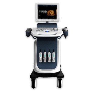 PW CW warna Doppler Rumah Sakit pemindai <span class=keywords><strong>ultrasound</strong></span> trolley 3d 4d Vet mesin <span class=keywords><strong>ultrasound</strong></span> - Product Image 2