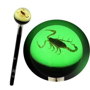 Echte Insecten Gloeiende Pen Aangepaste Logo Reclame-Oplossingen Promotionele Zeldzame Creatieve Zakelijke Giveaways Mini-Geschenken