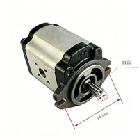 Chaolutong 0009812512 Pompe à engrenages hydraulique 11 dents pour chariot élévateur Linde HT30D/HT25D/HT35D, pièces de rechange, garantie 6 mois, neuf d'usine