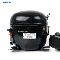 Compresseur hermétique à piston Aspera Embraco NT2180GK 115V/60Hz 1HP pour la réfrigération