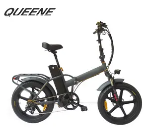 250W Cheap Small Folding Electric Bike, Cheap Electric Bicycle with CE