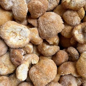 Suplemento de <span class=keywords><strong>hongos</strong></span> comestibles al por mayor: Hongo de dientes barbudos <span class=keywords><strong>en</strong></span> venta - Product Image 3