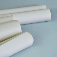 Papiers peints de papier peint à rayures blanches de couleur unie pour le salon