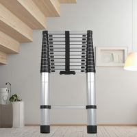 Échelle télescopique en aluminium argenté EN131, style industriel, pliable, pour la maison, l'extérieur et l'entrepôt, design moderne et portable