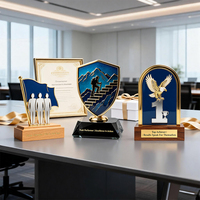Trophées Métalliques Personnalisables en Émail pour Entreprises, Plaques d'Honneur d'Anniversaire d'Équipe, Récompenses de Reconnaissance Commerciale, Souvenirs Annuels pour Employés