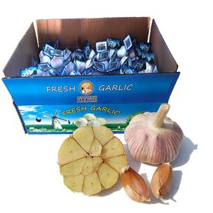 Ajo Fresco Blanco Normal Jinxiang de Nueva Cosecha de China, Bolsas de Malla de 10 kg de Rich Farmer - Product Image 3