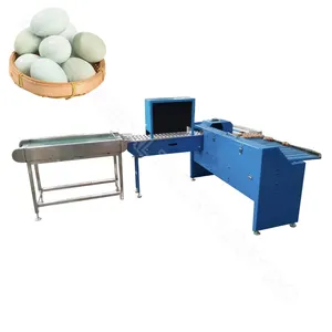 Washer grader grading and packaging portable egg sorting machine