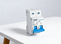 Interruptor Automático Modular (MCB) de 2 Polos, 63A, 230/400V, Capacidad de Ruptura de 6kA, para Riel DIN, para Caja de Distribución