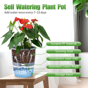 Maceta de <span class=keywords><strong>Interior</strong></span> de autorriego Decoración de maceta de plástico blanco con flores de orquídeas Paquete de decoración de plantas de <span class=keywords><strong>interior</strong></span> - Product Image 4