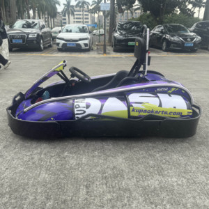 <span class=keywords><strong>2025</strong></span> Mới Đua Điện Đi Kart Cho Người Lớn 4000W Hiệu Suất Cao Trôi Nhà Máy Bán Buôn Chất Lượng Cao Thương Mại Karting Xe - Product Image 5