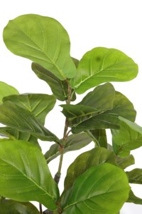 Direkt vom Hersteller Künstlicher Ficus Lyrata Topfbaum für Innen- und Außenlandschaftsgestaltung - Product Image 4