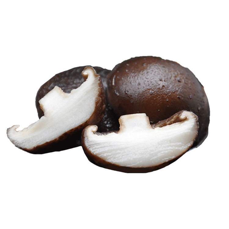 Factory Wholesale Sell Vacuum Sealed Package 2-6cm Natural Dried Shiitake Mushrooms