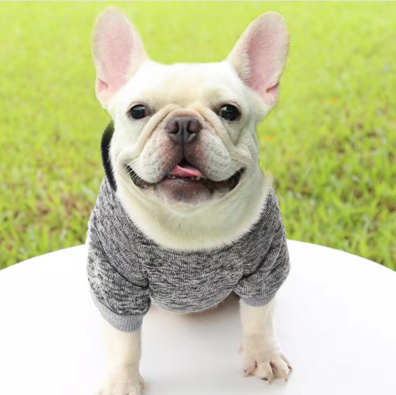 Casual Sporty Style Warm Puppy Dog Cloth Thickened Soft Solid Color Pet Hoodies