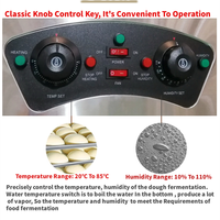 Armoire de fermentation industrielle à 2 portes, design original, pour pâte à beignets, pain, roti, pizza, machine de boulangerie, personnalisable