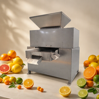 Presse-agrumes électrique populaire avec lame en acier inoxydable pour citron vert, calamansi, citron et orange