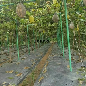 Horticultural Fiberglass Pipes, Fiberglass Agricultural Support <b>Poles</b>, Tree Support <b>Poles</b> - Product Image 6