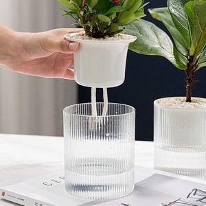 Taiyuan Self Watering Flower <b>Pots</b> Transparent Hydroponic Planters Minimalist Desktop Green Plant <b>Pots</b> One Piece Molding - Product Image 2