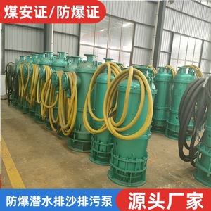 Bqs150-425/6-315Kw Bomba Sumergible a Prueba de Explosiones para Arena, para la Industria Minera, Motor Eléctrico Centrífugo de Baja Presión, Acero - Product Image 2