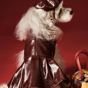 Elegant Personalized Lightweight Faux Leather Pet Dress for Small Dogs <b>Cats</b> Shiny Wine Red Skirt Tassel Rhinestone Collar - Product Image 6